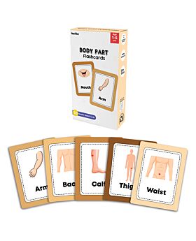 Festiko® 1 Set of 30 Pcs Body Parts Flash Cards, Body Parts Flash Cards for Kids, Easy & Fun Way of Learning, Flashcards For Toddlers and Kids