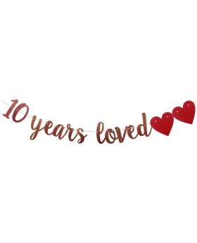 10 Years Loved Banner Rose Gold Paper Glitter Party Decorations for 10TH Birthday Decorations 10TH Wedding Anniversary Day Party Supplies Letters Rose Gold 