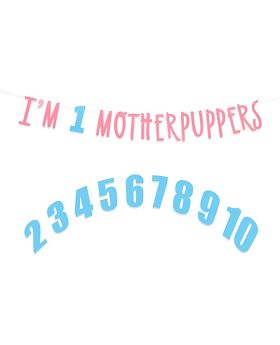 Festiko® Its My Birthday Mother Puppers Banner - Dog Birthday Commemorative Party Decorations,Dog Birthday Photo Props,Happy Birthday Dog Décor,Free Combination of 0-9 Numbers,Lets Pawty (Pink Blue)