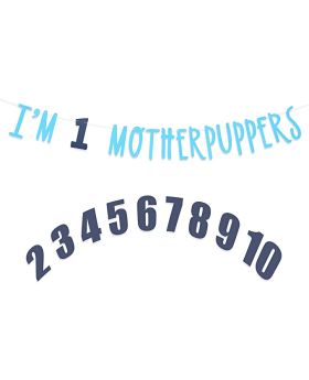 Festiko® Its My Birthday Mother Puppers Banner - Dog Birthday Commemorative Party Decorations,Dog Birthday Photo Props,Happy Birthday Dog Décor,Free Combination of 0-9 Numbers,Lets Pawty (Lake Blue Navy Blue)