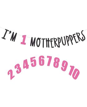 Festiko® Its My Birthday Mother Puppers Banner - Dog Birthday Commemorative Party Decorations,Dog Birthday Photo Props, Happy Birthday Dog Décor, Free Combination of 0-9 Numbers,Lets Pawty (Pink Black)