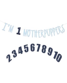 Festiko® Its My Birthday Mother Puppers Banner - Dog Birthday Commemorative Party Decorations,Dog Birthday Photo props,Happy Birthday Dog Décor,Free Combination of 0-9 Numbers,Lets Pawty (Light blue navy blue)